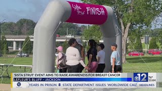 Sista Strut raises awareness about breast cancer research [upl. by Hagai]