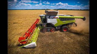 CLAAS LEXION 8900  780TT  HARVEST 2022  Wheat Jiřice u Miroslavi [upl. by Feldstein]