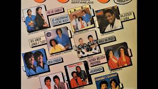 Karaokê Sertanejo 87 Playbacks Originais LP Completo [upl. by Ivan]