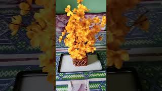 SubhanAllah arabic dailyvlog flowers [upl. by Cristobal]