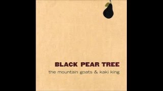 The Mountain Goats and Kaki King  Black Pear Tree EP Full [upl. by Ajet]