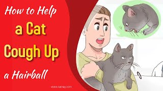 How to Help a Cat Cough Up a Hairball [upl. by Bryant]