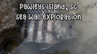 Pawleys Island SC Sea Wall ExplorationFishing [upl. by Beattie]