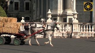 SIZILIEN  Teil 2 quotGlanzlichter von Syrakus Catania und den Ätna entdeckenquot SICILY  SICILIA [upl. by Anileva]