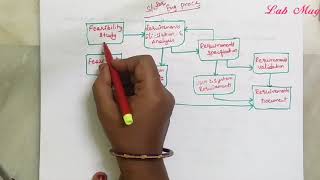 Requirements engineering process in software engineering  SE in telugu [upl. by Fabrienne708]