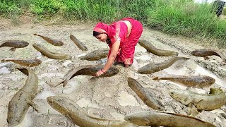 Village Snake head Fish Curry  Indian Village Sauri Fish Curry  Anishka ka kitchen fish curry [upl. by Kidd]