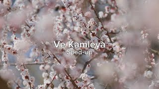 Ve Kamleya song  sped up  Hindi sped up song [upl. by Shermie]