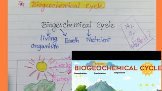 Biogeochemical Cycle Geography [upl. by Dyun]