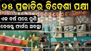 ୨୫ ପ୍ରଜାତିର ବିଦେଶୀ ପକ୍ଷୀ  How to start exotic bird farm [upl. by Joelynn309]