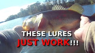 The EASIEST Bass Fishing Lures You NEED For Windy Winter Days [upl. by Prussian137]