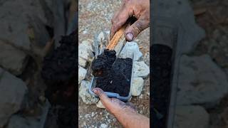 Waterproof Fire Starter From Coal and Wood Shavings survival lifehacks skills [upl. by Redwine234]