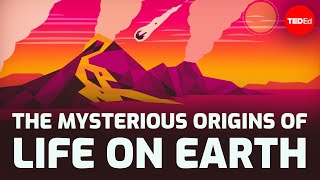 The mysterious origins of life on Earth  Luka Seamus Wright [upl. by Just]