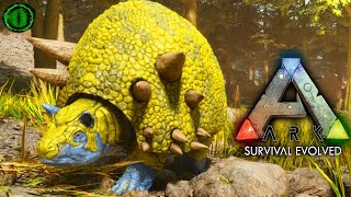 🔴 LIVE Brick By Brick  Ark Survival Evolved [upl. by Tohcnarf]