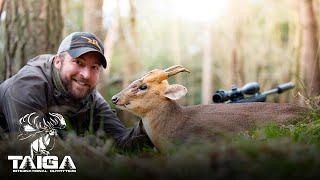 Muntjac amp Chinese Water Deer Combo hunt in England [upl. by Cave]