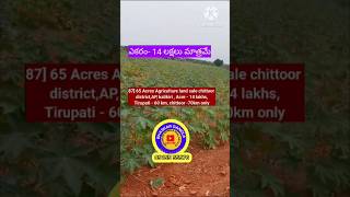 65 Acres Agriculture land sale  chittoor districtAP  kalikiri  Acre  14 lakhsTirupati 60 km [upl. by Rob]