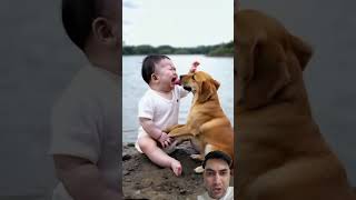 dog cute funny baby cutebaby [upl. by Saval]