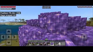 I made an amethyst house 🏠 🏡 in Minecraft PE Survival series 🌍🌲part 6 [upl. by Namruht]