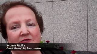 irishtimescom Tidy Towns 2011 [upl. by Nomsed637]