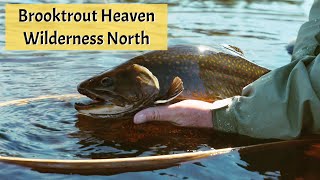 The Giant Brooktrout of Northern Ontario [upl. by Creighton899]