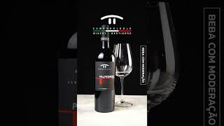 Palpedrigo IGP  Vinho Italiano Suave [upl. by Adaran730]