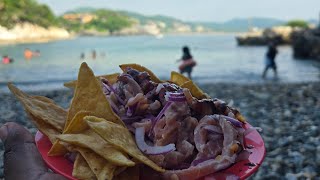 Playa Contramar Zihuatanejo [upl. by Ehpotsirhc918]