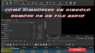 Come rimuovere un singolo rumore da un file audio [upl. by Oluas858]