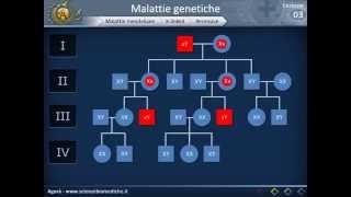 Genetica 03  Malattie genetiche e genetica di popolazione [upl. by Nedi]