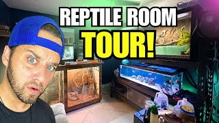 REPTILE ROOM TOUR JUNE 2024 Feeding All My Animals [upl. by Charil]