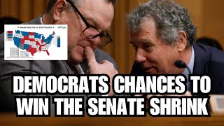 Democrats Fall Behind in the Senate and an Independent Surges [upl. by Nnylahs]