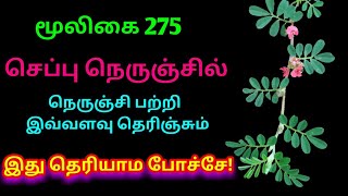 செப்பு நெருஞ்சில்Seppu NerunjilIndigofera Enneaphyllaஅலசல்Alasal [upl. by Haniraz]