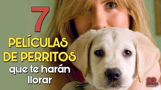 LA CIUDAD Y LOS PERROS  PELICULA PERUANA [upl. by Milissa977]