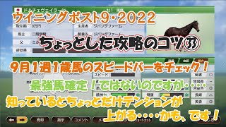 ウイニングポスト９・２０２２【ちょっとした攻略のコツ㉝】９月１週の１歳馬のスピードバーをチェックすると・・・・ [upl. by Llireva]