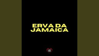 Erva da Jamaica [upl. by Maleen]