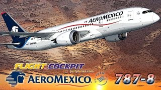 AEROMEXICO Cockpit BOEING 787 Dreamliner [upl. by Annaihr164]