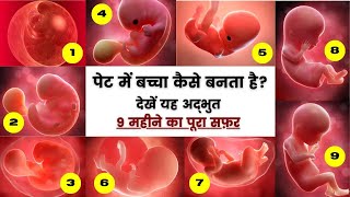 पेट में बच्चा कैसे बनता है  1 to 9 month गर्भ में शिशु का विकास How A Baby Developed in womb [upl. by Hedwig]