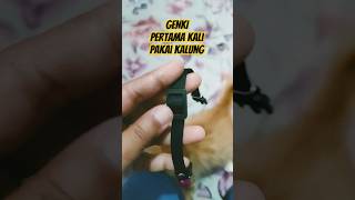 Kucing pakai kalung kucinglucu short shortvideo cat catlover funny [upl. by Moht155]