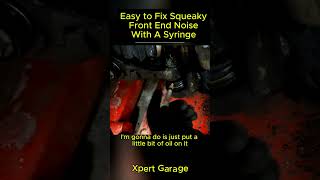 Easy to Fix Squeaky Front End Noise With A Syringeautomotive mechaniclife autoexpert XpertGarage [upl. by Saunderson]