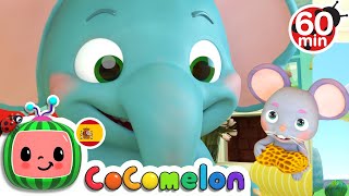 CoComelon en Español  Hickory Dickory Dock  Compilación de Canciones Infantiles [upl. by Ahsirtal]