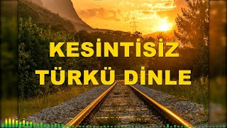 KESİNTİSİZ TÜRKÜ DİNLE  TÜRK HALK MÜZİĞİ türküler [upl. by Elspeth]