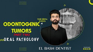 odontogenic tumors  part 2  oral pathology عزت شومان [upl. by Eilyr]