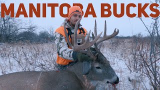 MANITOBA WHITETAIL DEER HUNTING 9 DAY HUNT MULE DEER amp TRESPASSERS [upl. by An707]