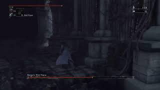 Blood borne only bosses Max leveling 😍live game [upl. by Smukler]