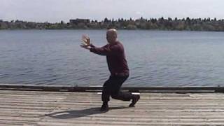 Chen Style Taijiquan 38 Form [upl. by Narcis]