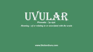 How to Pronounce uvular with Meaning Phonetic Synonyms and Sentence Examples [upl. by Elleon]