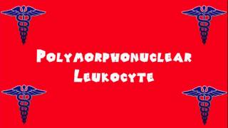 Pronounce Medical Words ― Polymorphonuclear Leukocyte [upl. by Kcarb686]