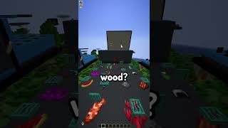 Minecraft Item Guess Who 14 [upl. by Petta]