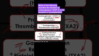 Describe the functions of cyclooxygenase1 COX1 in the formation of prostaglandins [upl. by Salahcin]