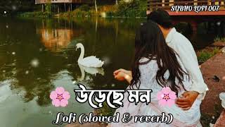 URECHE MON  LOFI SLOWED amp REVERB  উড়েছে মন  bangla remix 🎧🎧🎸🎶🥰❤️‍🩹😇 [upl. by Seta]