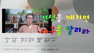 살활동시를 깨치면조사들과의 선문답에 막힘이 없으리라900회 선요 13 제 13강의 [upl. by Lilybel]