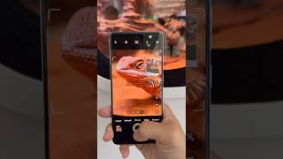 Vivo X200 pro camera performance vivo vivoX200pro vivocameraX200 [upl. by Carr]